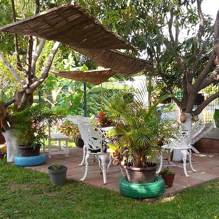 Real Del Ambar Hotel Tuxtla Gutiérrez Екстериор снимка